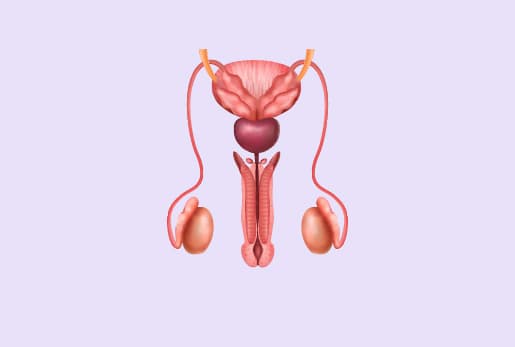Do I Need A Prostate Check? 