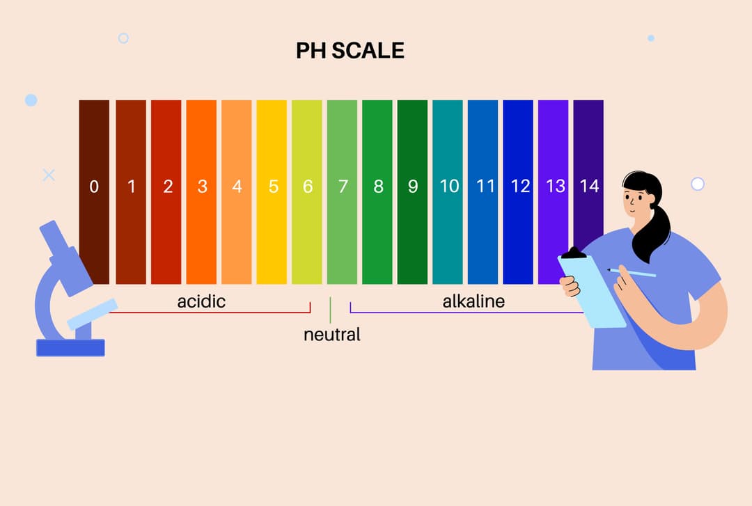 Is My Body Acidic Or Alkaline?