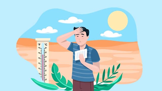 Is My Body Coping Well With Summer?