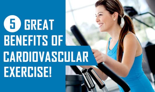 5 Great Benefits Of Cardiovascular Exercise!
