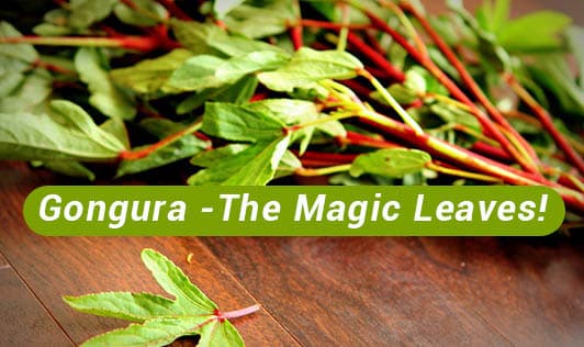Gongura- Bring The Magical Leaves Home this Summer