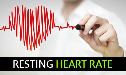 Resting Heart Rate (How To Calculate It?)