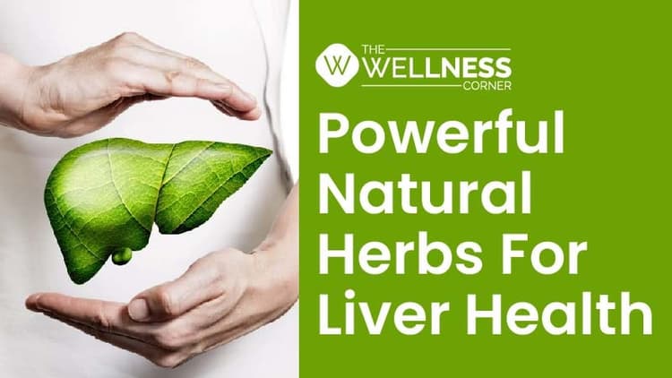 Powerful natural herbs that are a pick-me-up for your liver health