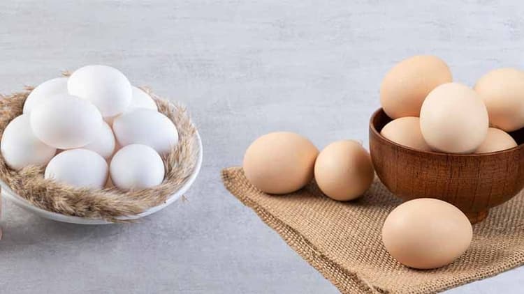 Do Brown Eggs Have More Nutrition Than White Eggs?