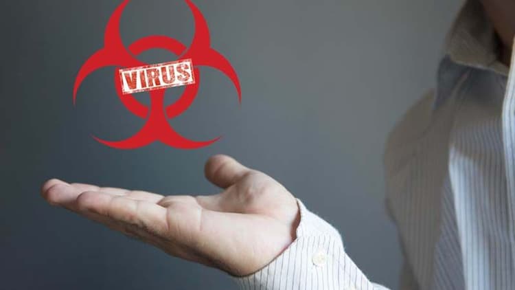 How Dangerous Is Hantavirus? Understanding The Risks